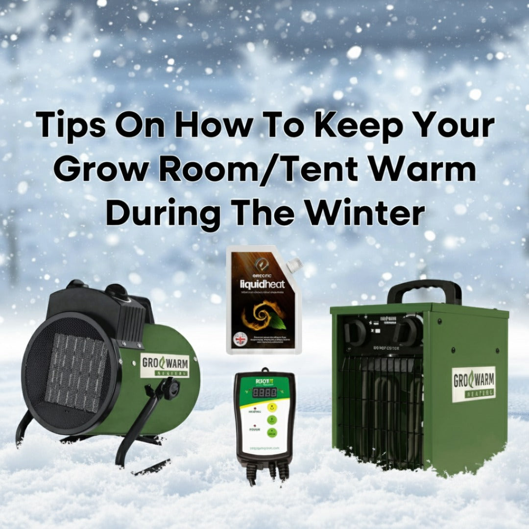 Winter Tips for Your Grow Room: Temperature, Humidity and Ventilation