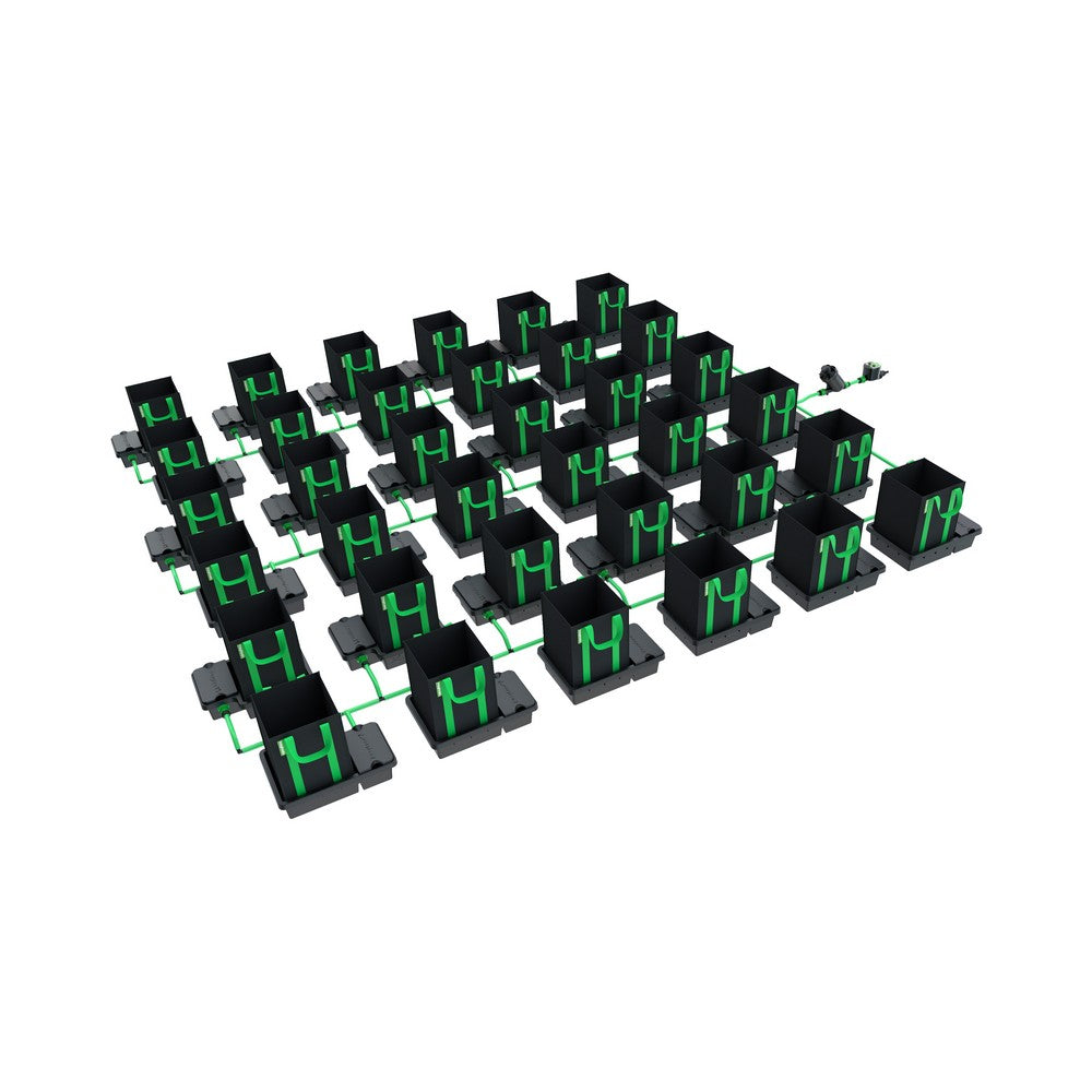 EasyFeed 16L System No Tank