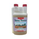 Canna Terra Flores