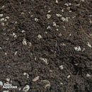 Close‑up view of Ecothrive Living Soil surface with scattered perlite and fine coco fibres, highlighting its aerated and textured structure – thegrowsuperstore.com