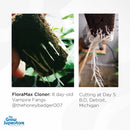 Rooted plant cuttings using FloraMax Cloner – 5 to 8 days after treatment – thegrowsuperstore.com