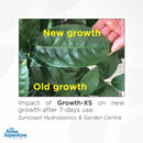 Comparison of new and old leaf growth after using FloraMax Growth-XS for 7 days, shown by Suncoast Hydroponics – thegrowsuperstore.com