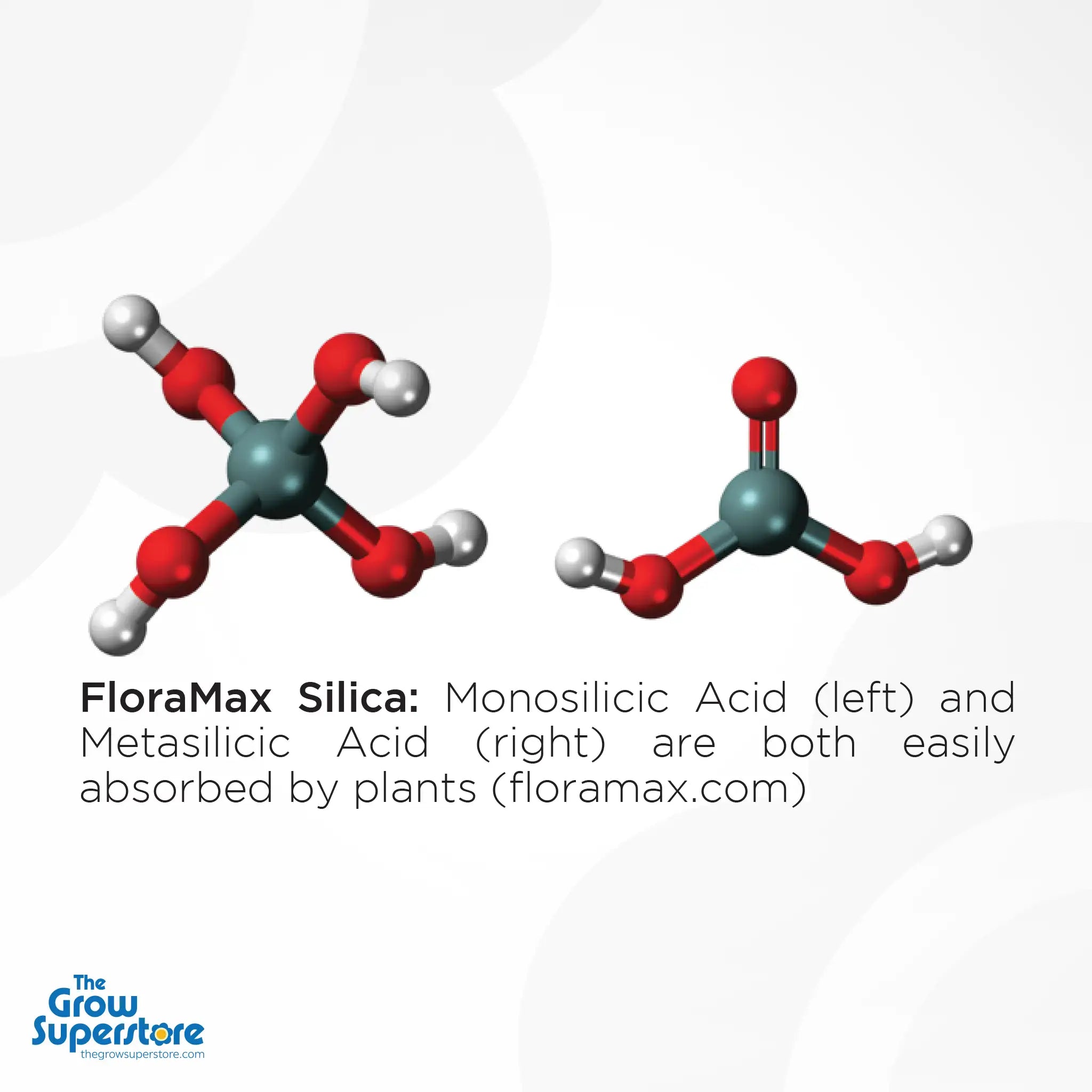 Hydroponic plant health support with FloraMax Silica – boosts rigidity and stress tolerance – thegrowsuperstore.com
