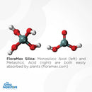 Hydroponic plant health support with FloraMax Silica – boosts rigidity and stress tolerance – thegrowsuperstore.com