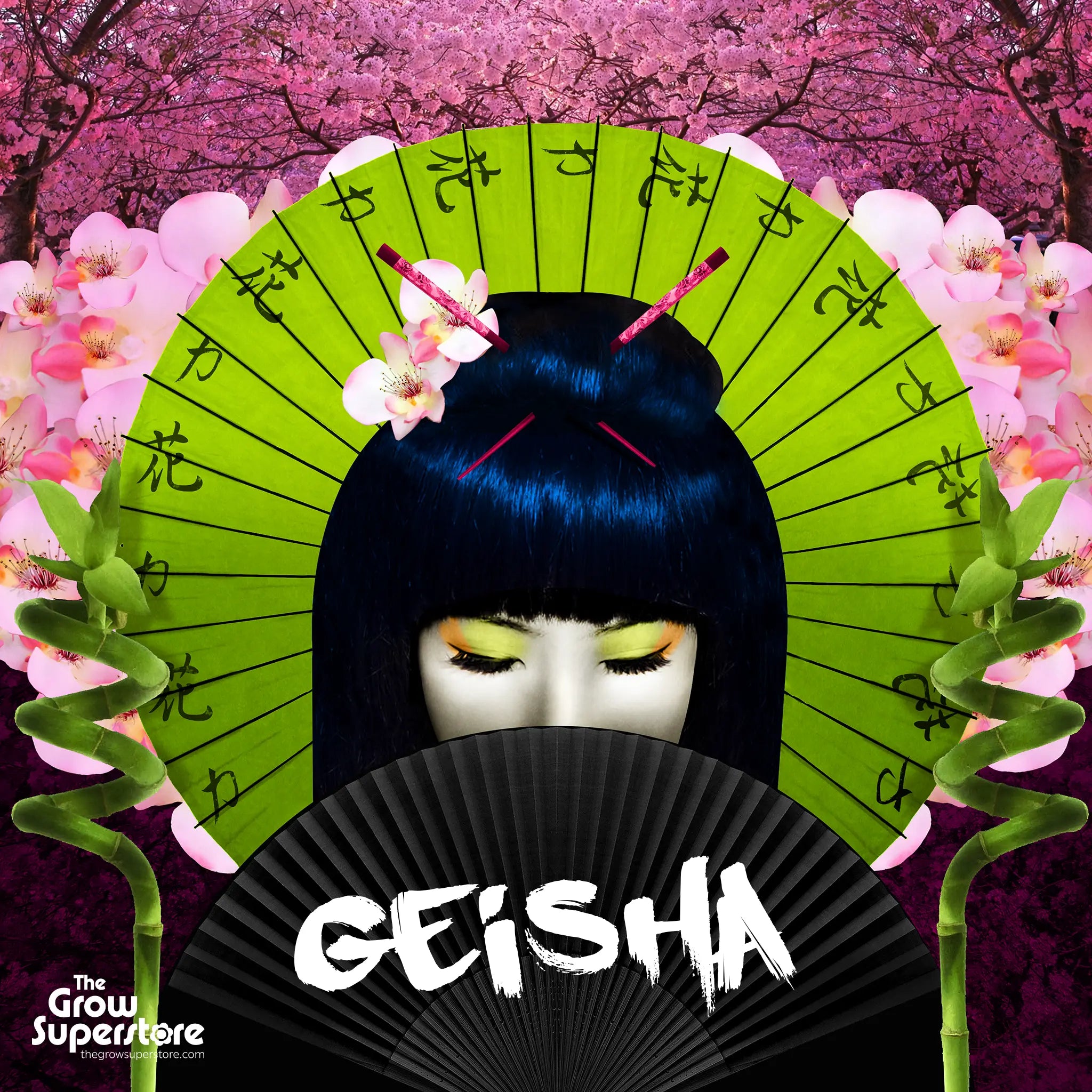 Decorative Geisha graphic featuring cherry blossoms and fan artwork used in product branding – thegrowsuperstore.com