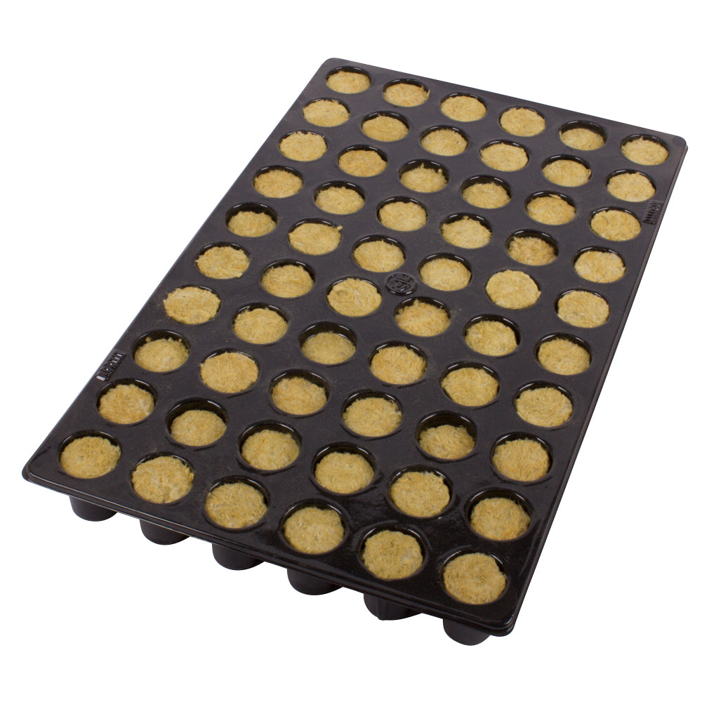 ROOT!T Propagator 60 Hole Insert