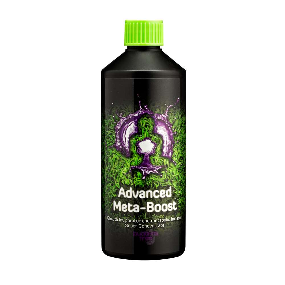 Buddhas Tree Advanced Meta Boost