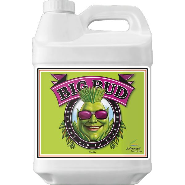 Advanced Big Bud