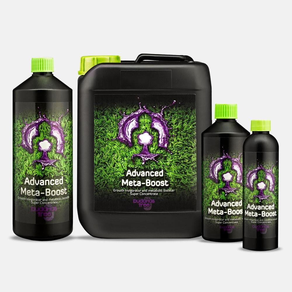 Buddhas Tree Advanced Meta Boost