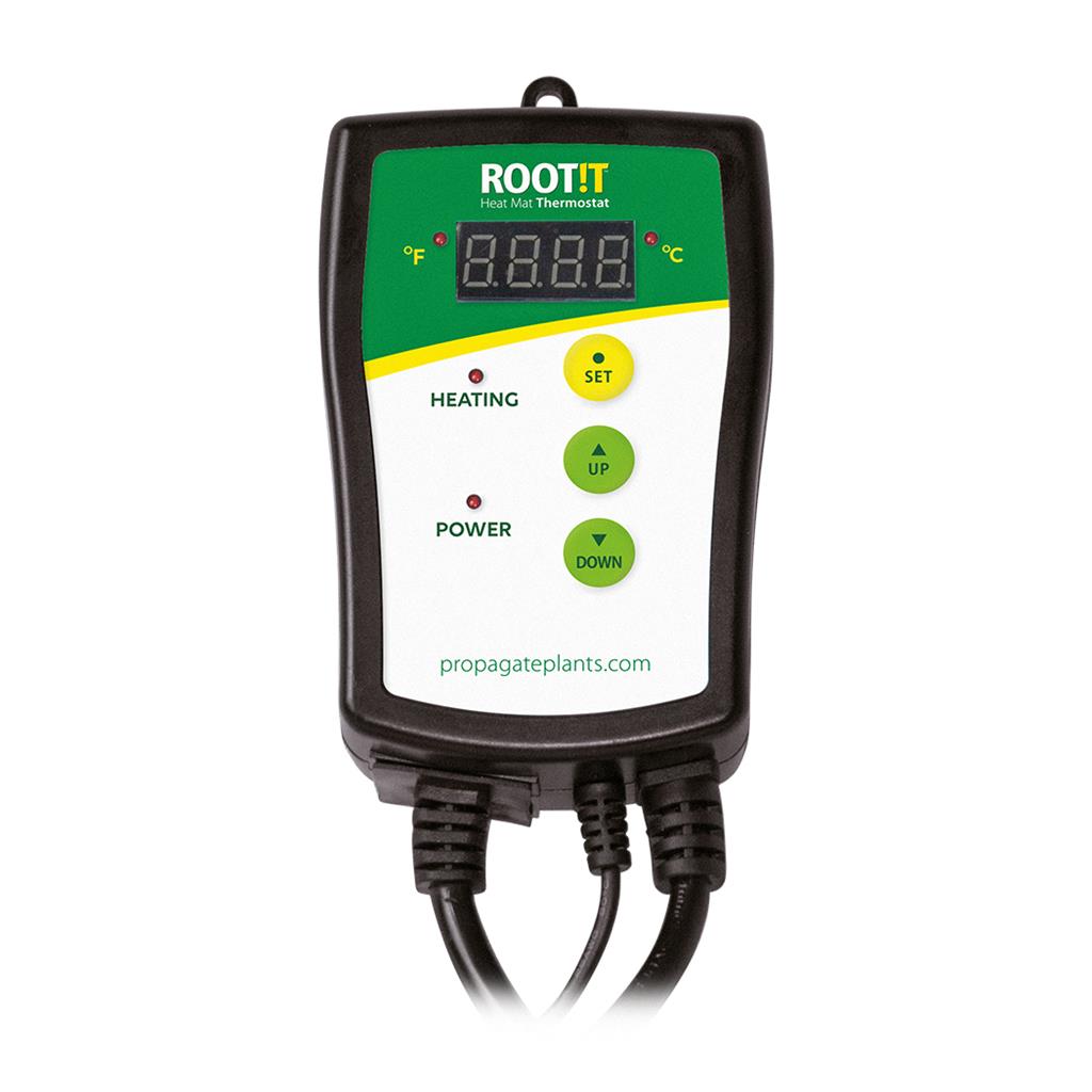 ROOT!T Propagator Thermostat