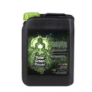 Buddhas Tree Solar Green Power