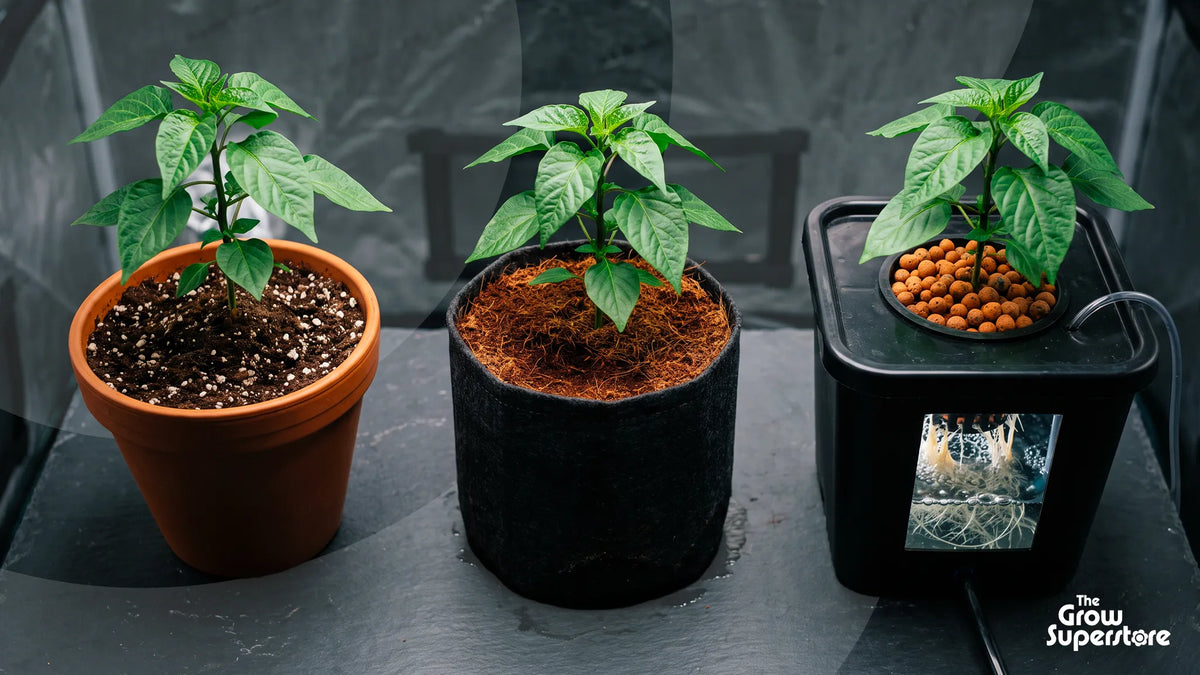 Soil vs coco vs hydro growing media comparison with pepper plants in potting soil, coco coir and DWC hydroponics, showing clay pebbles, exposed roots, nutrient solution and different indoor growing systems.