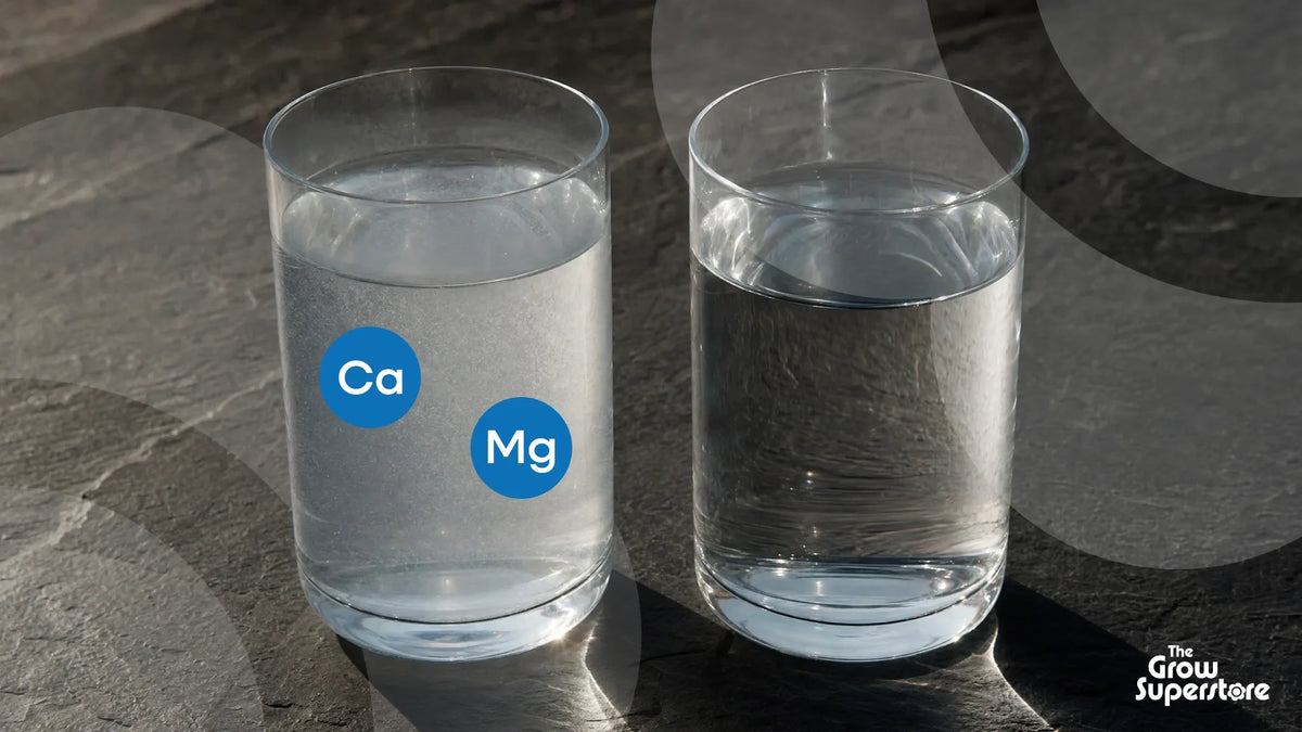 Two water glasses on slate, calcium and magnesium marked in the mineral-haze glass, clear glass beside