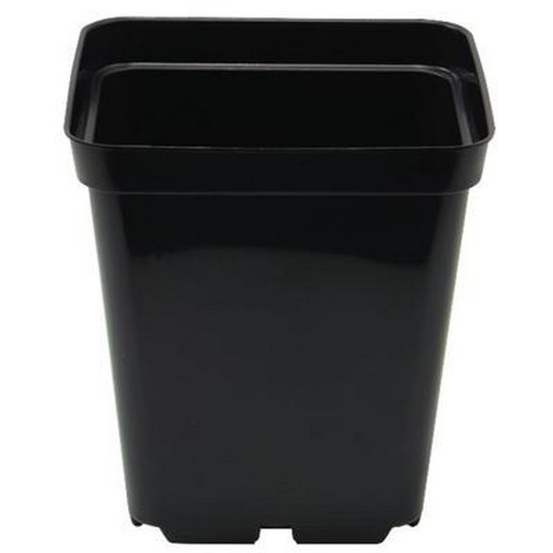 Square Black Plant Pot