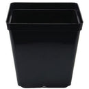 Square Black Plant Pot