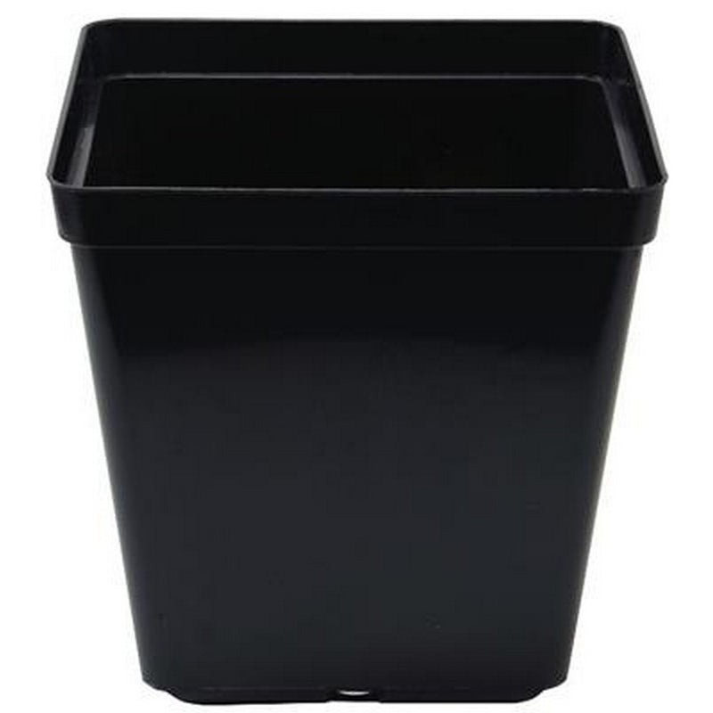 Square Black Plant Pot