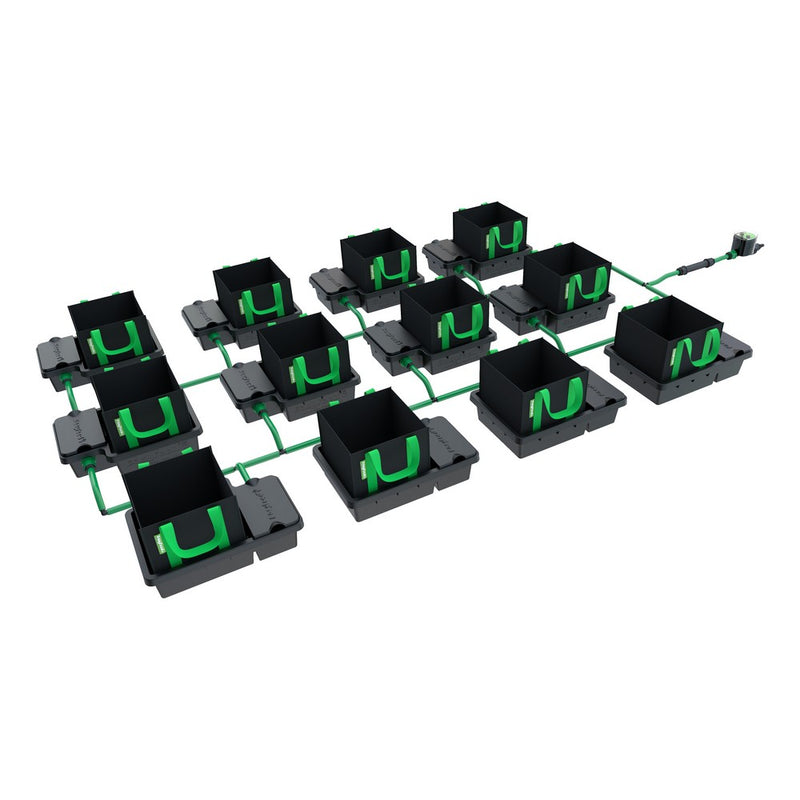 EasyFeed 10L System No Tank