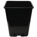 Square Black Plant Pot
