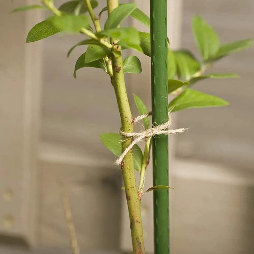 JUTE Natural Garden Twine (Cotton) 100m