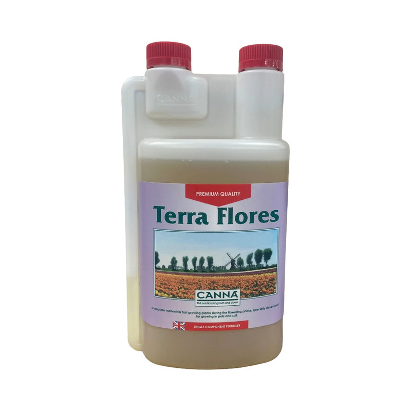 Canna Terra Flores