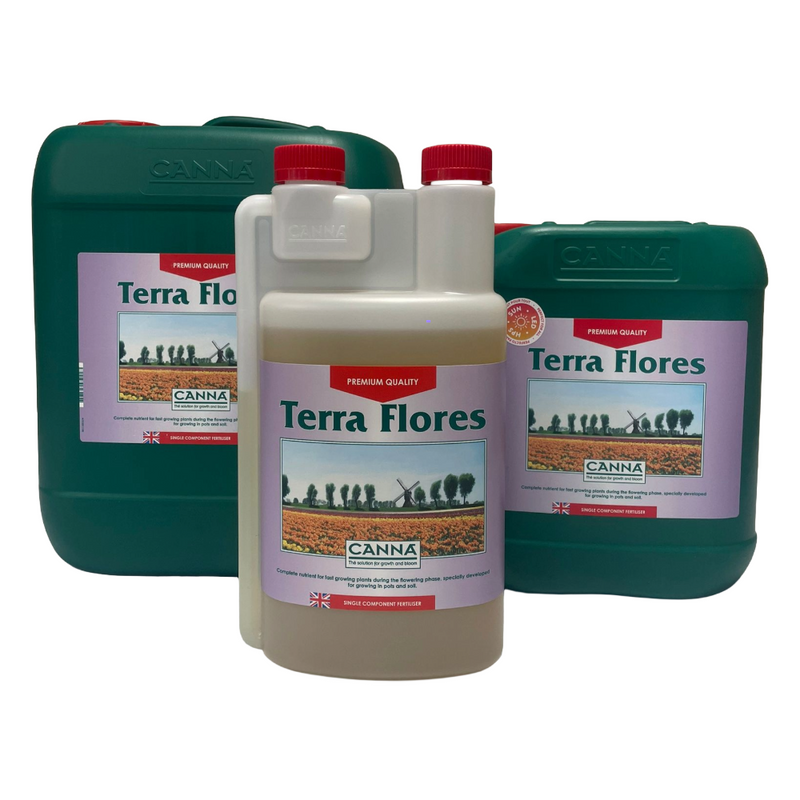 Canna Terra Flores