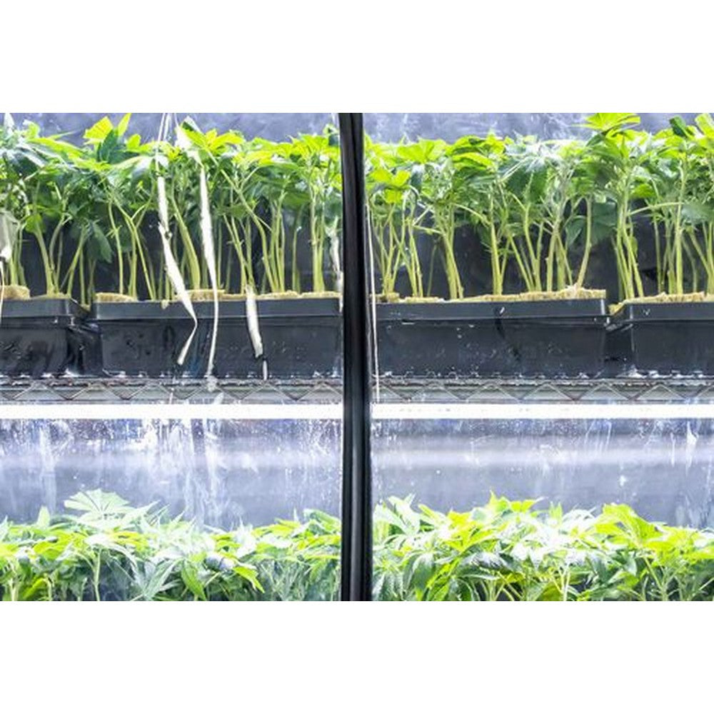 Athena VP Dome - Shell Only