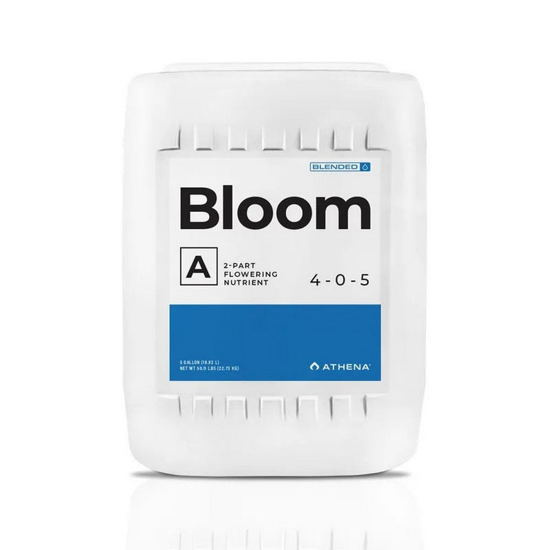 Athena Bloom A&B