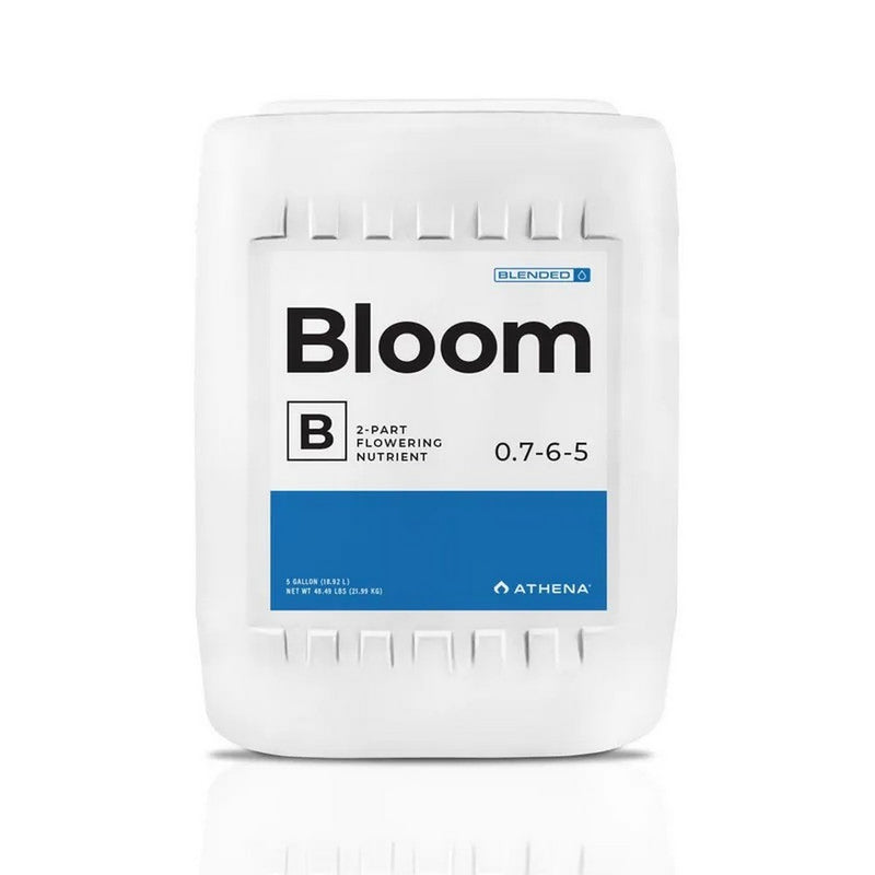 Athena Bloom A&B