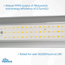 A macro view of the efficient, full-spectrum LED diodes on a light bar of the BRIGHT 720W grow light – thegrowsuperstore.com