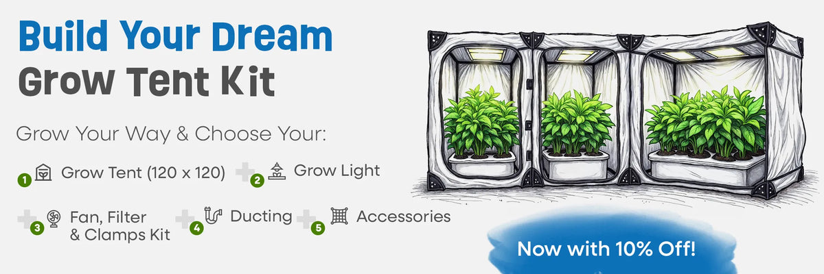 Illustration of customizable indoor grow tents with lush green plants under grow lights. Text highlights: 'Build Your Dream Grow Tent Kit', with icons for grow tent, grow light, fan & filter kit, ducting, and accessories. A blue badge states 'Now with 10% Off!'