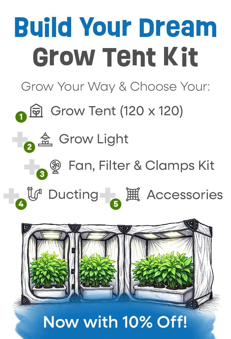 Illustration of customizable indoor grow tents with lush green plants under grow lights. Text highlights: 'Build Your Dream Grow Tent Kit', with icons for grow tent, grow light, fan & filter kit, ducting, and accessories. A blue badge states 'Now with 10% Off!'
