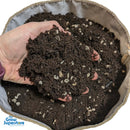 Hand holding a generous handful of dark, rich Ecothrive Living Soil showing visible white perlite nuggets inside a fabric pot – thegrowsuperstore.com