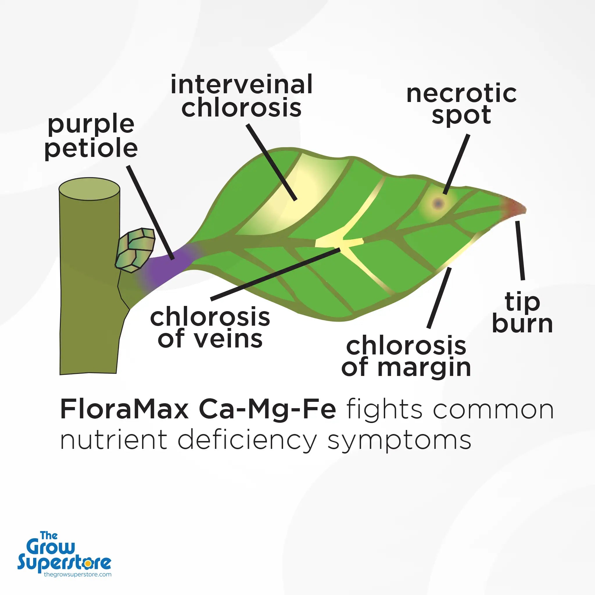 Diagram showing common nutrient deficiency symptoms on a plant leaf, such as chlorosis, necrosis, and purple petioles – thegrowsuperstore.com