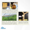 Test results and real grow outcomes showing FloraMax Veg-1’s clean performance and strong veg growth – thegrowsuperstore.com