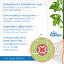 Illustration of a detailed root cross-section highlighting the benefits of House & Garden Roots Excelurator, including enhanced root hair growth for nutrient uptake, strengthened endodermis for pathogen protection, improved cortex health for efficient nutrient transport, and stimulated lateral root branching for a denser root system. Available at The Grow Superstore – thegrowsuperstore.com