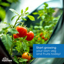 Tomato plants growing in a hydroponic tent with text overlay encouraging home vegetable and fruit growing – thegrowsuperstore.com