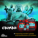 SHOGUN Cal-Mag range, a supplement for improving nutrient uptake and translocation, displayed with branding imagery – thegrowsuperstore.com
