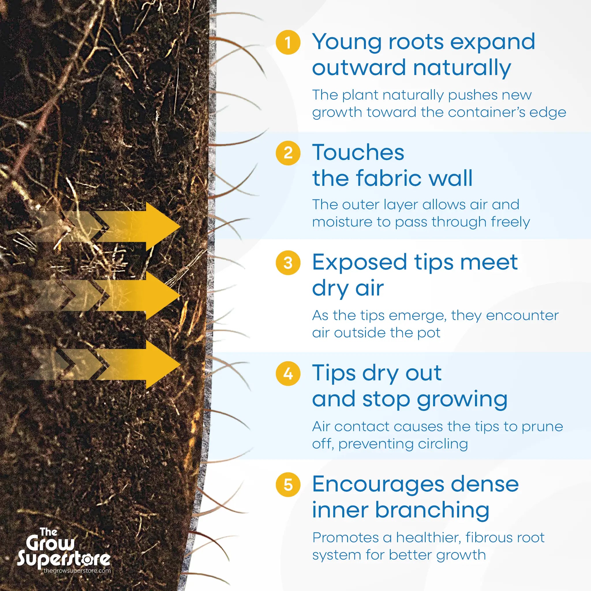 Air pruning root system illustration showing how roots grow and self-prune in fabric pots – thegrowsuperstore.com