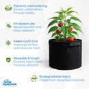 Tomato plant growing in a black fabric pot surrounded by feature icons – thegrowsuperstore.com