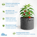 Grey fabric pot holding a healthy tomato plant; infographics highlight benefits: prevents overwatering, all‑season use, cooler roots, reuseable toughness, biodegradable fabric – thegrowsuperstore.com