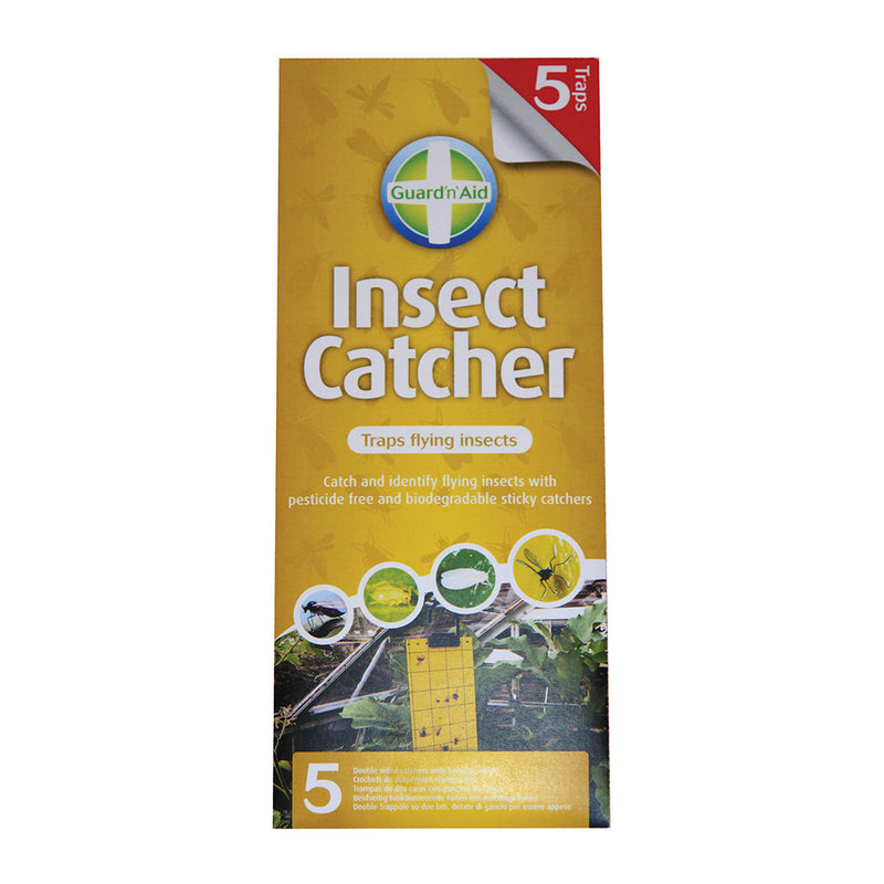 Insect Catcher Fly Traps Pack of 5