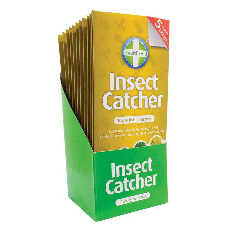 Insect Catcher Fly Traps Pack of 5