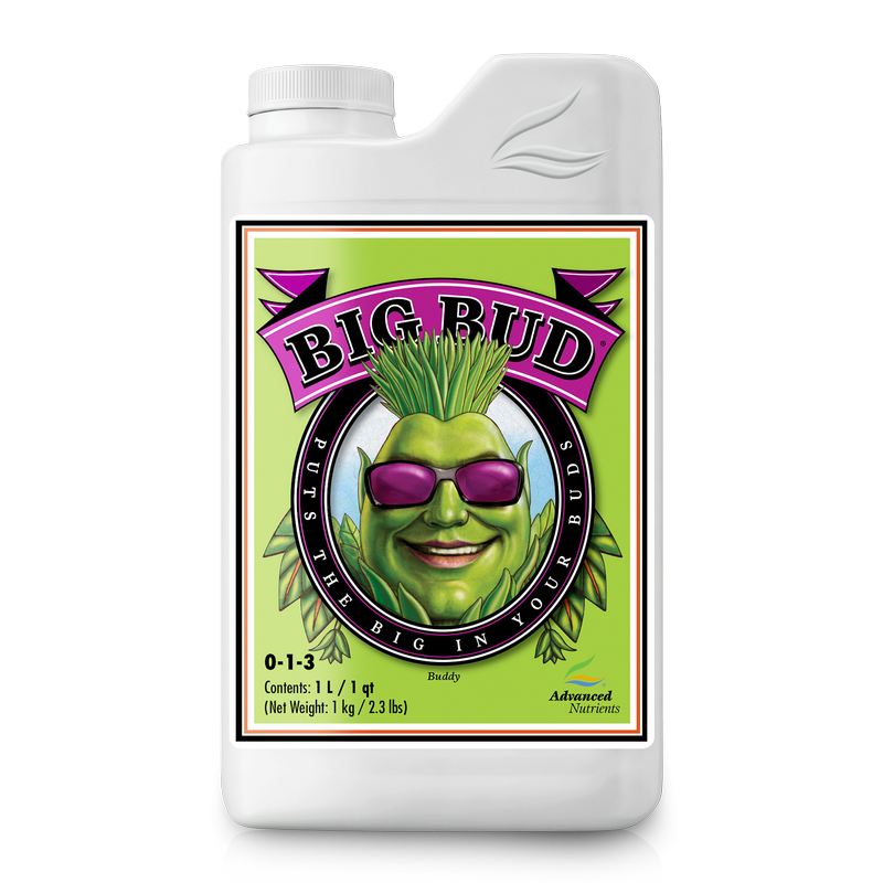 Advanced Big Bud