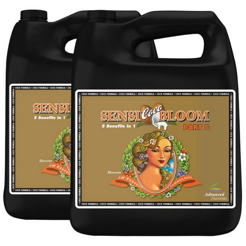 Advanced Sensi Bloom Coco