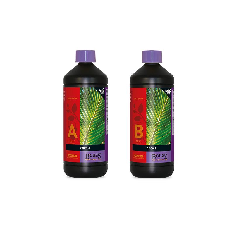 Atami B'Cuzz Coco A-B