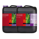 Atami B'Cuzz Coco A-B