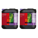 Atami B'Cuzz Coco A-B