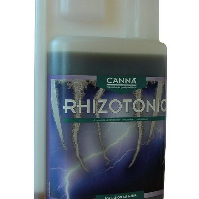 Canna Rhizotonic