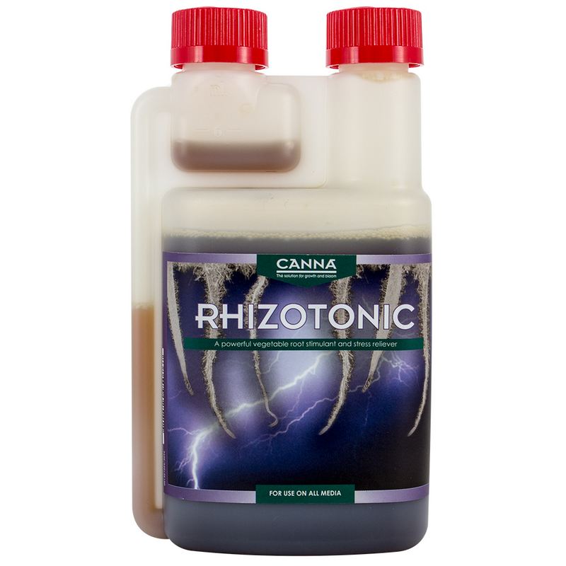 Canna Rhizotonic