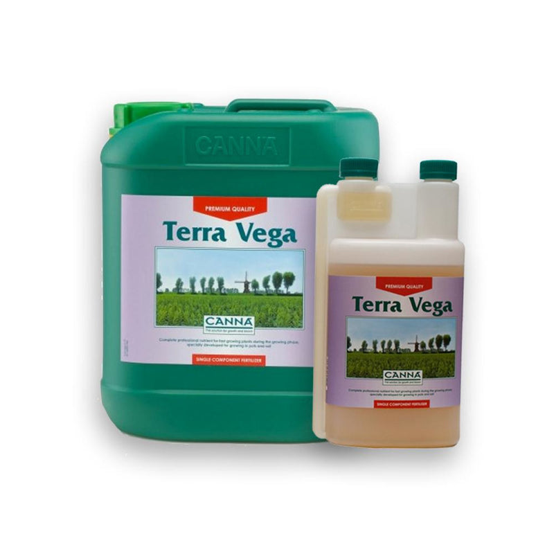 Canna Terra Vega